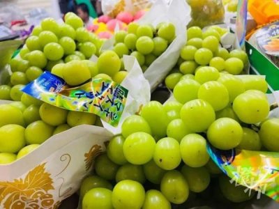 ​“葡萄界的爱马仕”为何价格大跳水？晴王葡萄每斤从200多元跌到10多元
