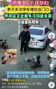 ​车停商铺门前引发纠纷，河南一男子当街推倒孕妇