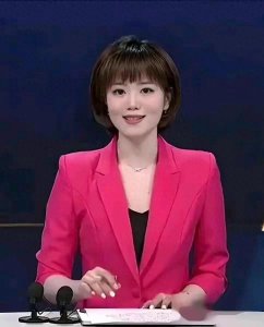 ​央视主持人高菡
