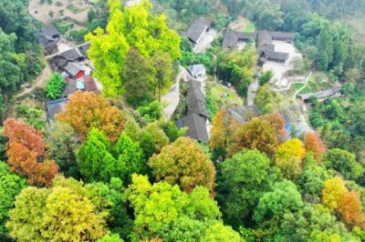 ​娱乐圈明星感情动态大揭秘：爱与猜测的交织
